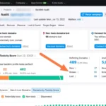 Link audit tool. Broken link checker. URL status analysis. Redirect chains evaluation. Backlink quality assessment. 404 error detection. Site health monitoring.