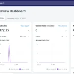 Sales performance metrics. Customer behavior analysis. Traffic sources breakdown. Conversion rate tracking. Average order value insights. Top-selling products report. Revenue by channel. Customer acquisition cost.