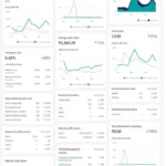 Store performance analysis. Sales and revenue metrics. Customer acquisition insights. Product sales summary. Order fulfillment statistics. Traffic source breakdown. Conversion rates analysis.