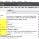 Data segmentation techniques. Custom report generation. Filter criteria selection. Analysis by URL parameters. Error type filtering. Performance metric customization. Crawl data refinement.